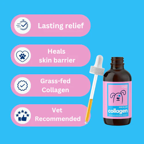 Collagen Skin & Coat Liquid Drops