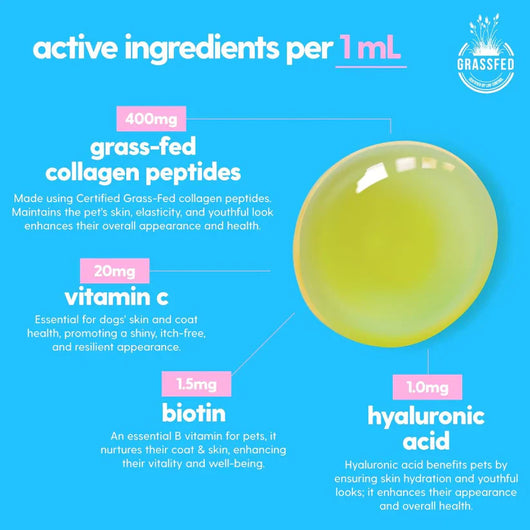 Collagen Skin & Coat Liquid Drops