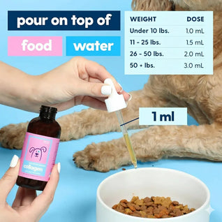 Collagen Skin & Coat Liquid Drops