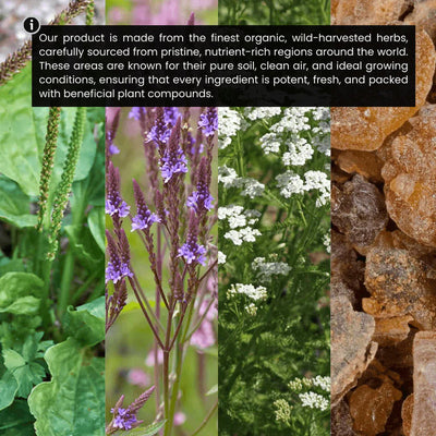 Organic Lymphatic Support Herbal Blend