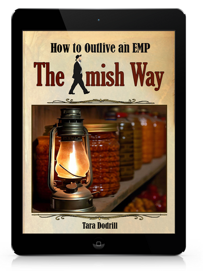 How to Outlive an EMP the Amish Way