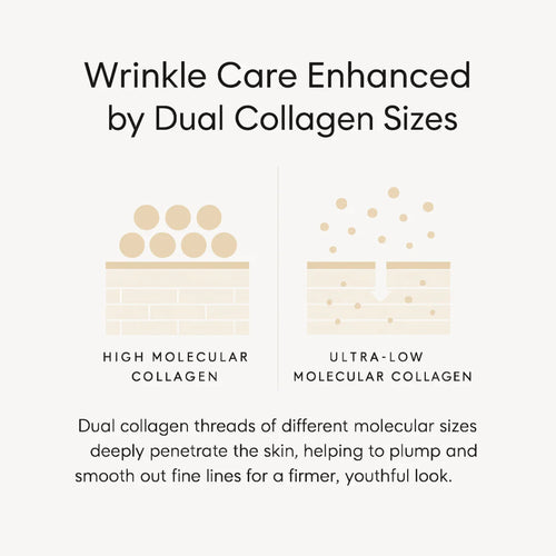 Silk Lifting Peptide Ampoule