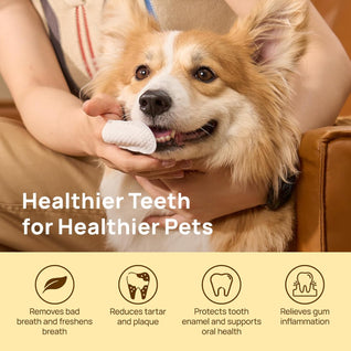 Dental Finger Wipes for Dogs & Cats (50 Gloves)