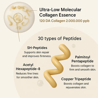 Silk Lifting Peptide Ampoule