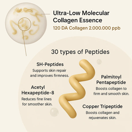 Silk Lifting Peptide Ampoule