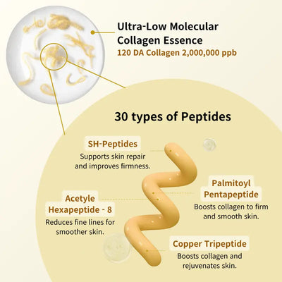 Silk Lifting Peptide Ampoule