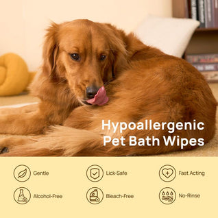 Cleaning Deodorizing Glove Wipes for Dogs & Cats (12 Gloves)