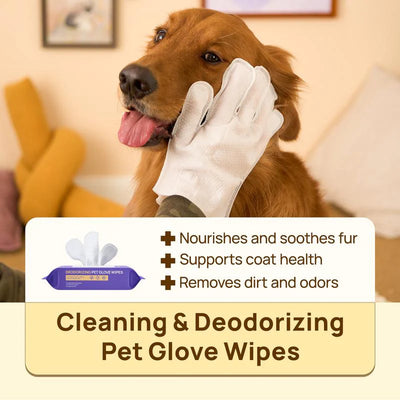 Cleaning Deodorizing Glove Wipes for Dogs & Cats (12 Gloves)