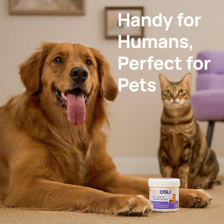 Dental Finger Wipes for Dogs & Cats (50 Gloves)