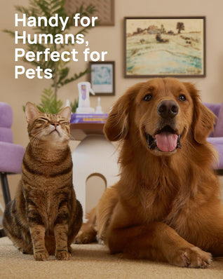 Eye Wipes for Dogs & Cats (100 Wipes)
